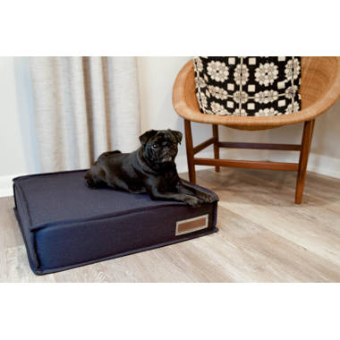 Large dog bed clearance insert